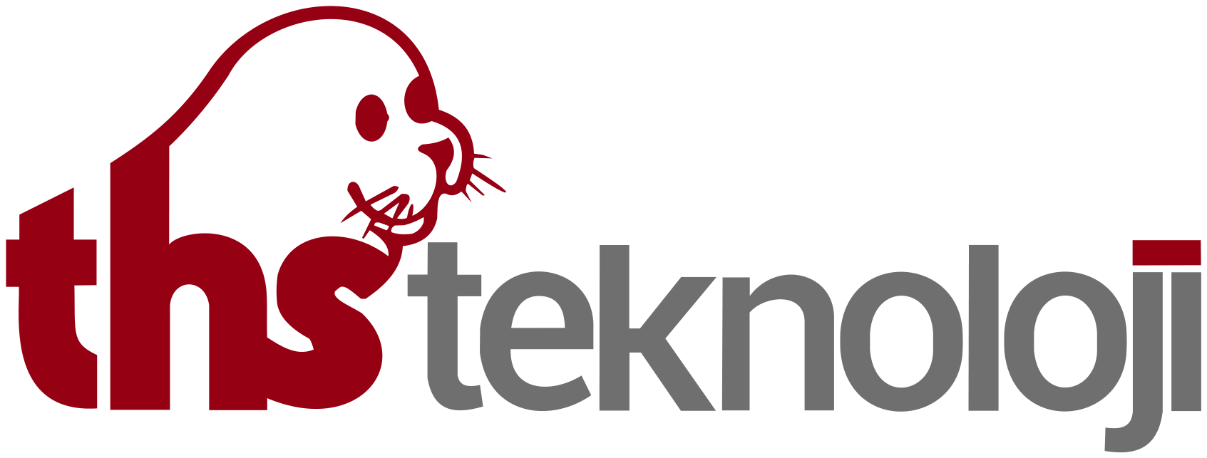 THS Teknoloji